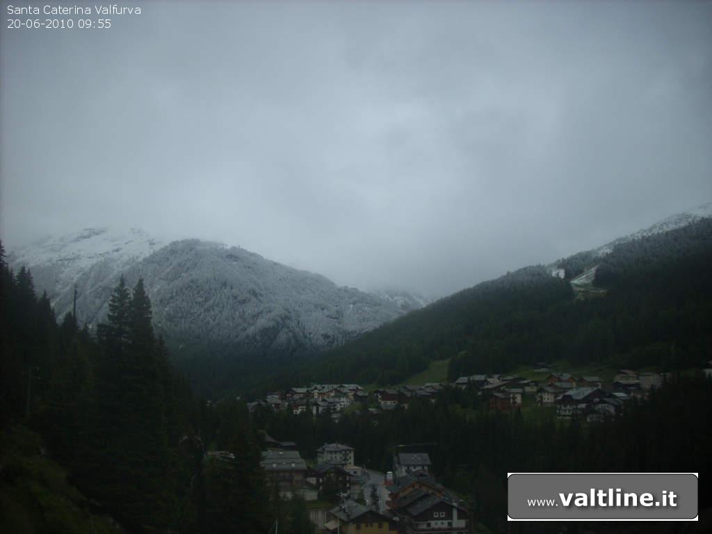 55470-valfurva-20062010.jpg