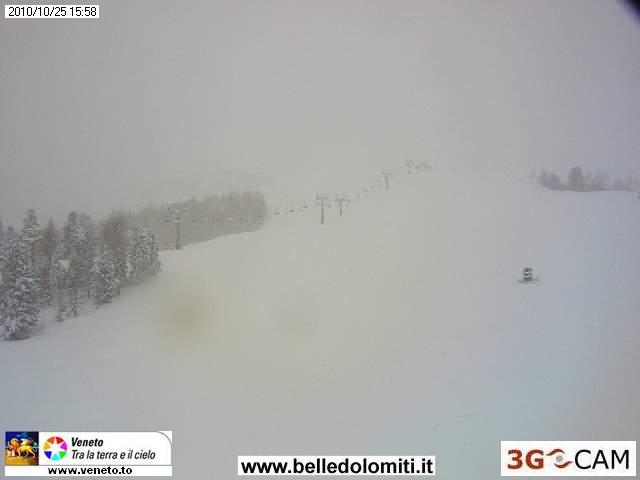 57897-colgallina.jpg