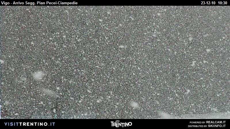 59736-vigo-webcam.jpg