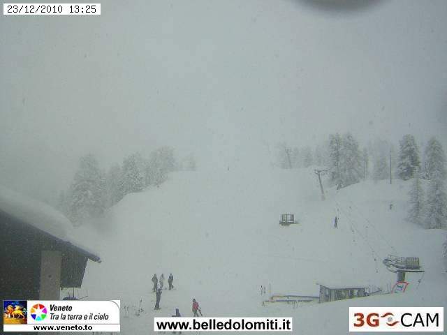 59745-faloria.jpg