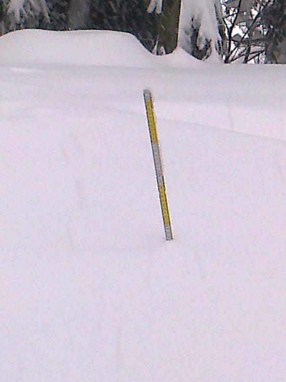 72327-foto0164.jpg