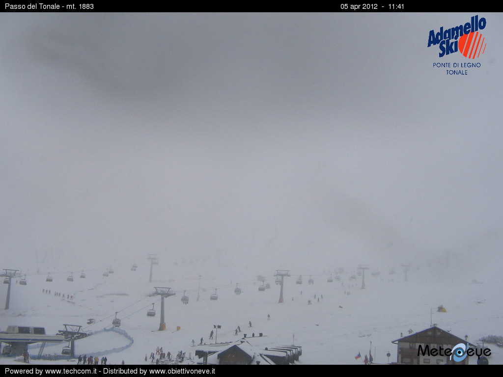 76071-tonale.jpg