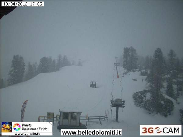 76625-faloria.jpg