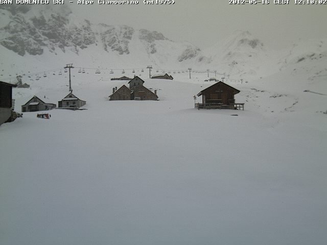 78025-alpeciamporino2.jpg