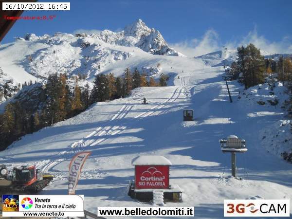 82142-faloria.jpg