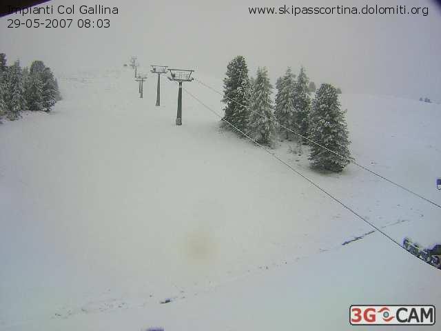 9364-galina-maggio.jpg
