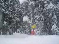 100_0216.jpg