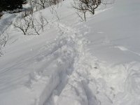 fr_05.jpg