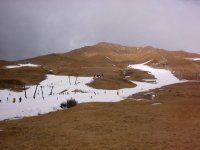 tonale-gen02-011.jpg