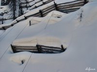 nevemarzogroste_01.jpg