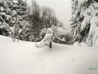 dsc01308.jpg