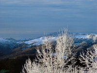 dsc00213.jpg