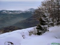dsc00197.jpg