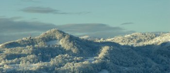 boscoinnevato.jpg
