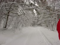 29_febbraio_2004.jpg