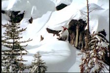 pdvd_030.jpg