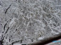 dsc00205.jpg