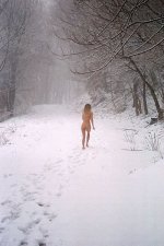 alberelli_con_neve.jpg
