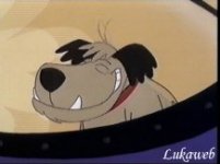 wacky03.jpg
