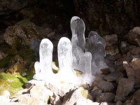 100_0442.jpg
