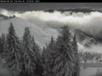 cam1_192.168.1.80.jpg
