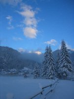 117_1728_r1.jpg