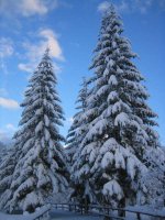 117_1727_r1_1.jpg