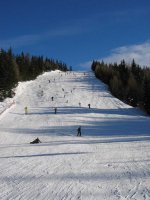 img_0532.jpg