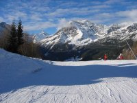 img_0528.jpg