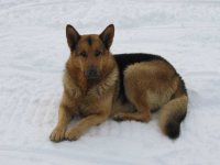 img_0525.jpg