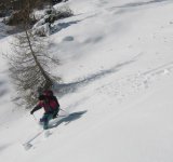 tonale0021.jpg