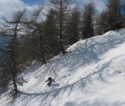 tonale0020.jpg