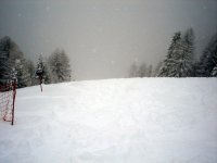 dsc00098.jpg