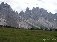 odleippocrate.jpg