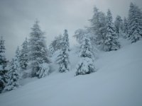 vacanze_2004-2005_011.jpg