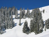 paesaggio.jpg