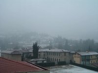 neve_bg2.jpg