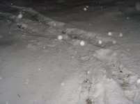 neve20febbraio.jpg
