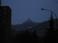 alba.jpg
