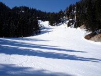 dsc00344a.jpg