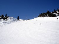 dsc00343a.jpg
