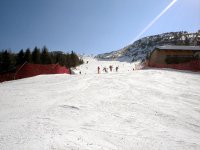 dsc00337a.jpg