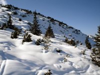 dsc00330a.jpg