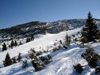 dsc00329a.jpg