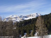 sella_02.jpg