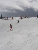 img_0936.jpg