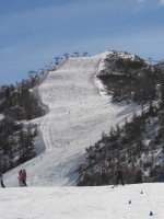 img_0915.jpg