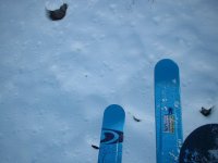 grssoney-alagna_2005_010.jpg