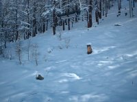 grssoney-alagna_2005_009.jpg