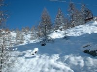 grssoney-alagna_2005_008.jpg